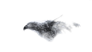 Eagle Dissolving Vinyl Car Decal Sticker – Waterproof & UV-Resistant Eagle Dissolving Vinyl Car Decal Sticker – Waterproof & UV-Resistant