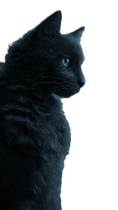 Melancholic Cat Vinyl Car Decal Sticker – Waterproof & UV-Resistant Melancholic Cat Vinyl Car Decal Sticker – Waterproof & UV-Resistant