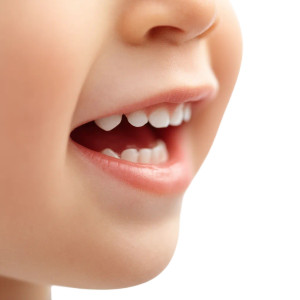 Child'S Teeth Vinyl Car Decal Sticker – Waterproof & UV-Resistant Child'S Teeth Vinyl Car Decal Sticker – Waterproof & UV-Resistant