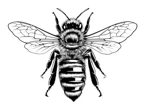 Cartoon Bee V11 Vinyl Car Decal Sticker – Waterproof & UV-Resistant 