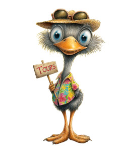Ostrich Tour Guide Vinyl Car Decal Sticker – Waterproof & UV-Resistant 