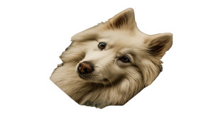 Queen Of Hearts V13 Vinyl Car Decal Sticker – Waterproof & UV-Resistant 