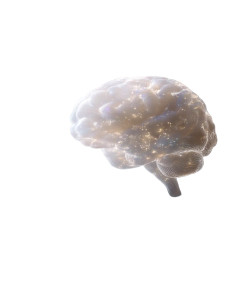 Enlightened Cosmic Brain Vinyl Car Decal Sticker – Waterproof & UV-Resistant 