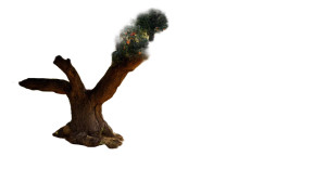 Fruitful Apple Trees Vinyl Car Decal Sticker – Waterproof & UV-Resistant 