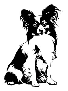 Papillon Dog Silhouette Vinyl Car Decal Sticker – Waterproof & UV-Resistant Papillon Dog Silhouette Vinyl Car Decal Sticker – Waterproof & UV-Resistant