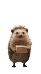 Hedgehog Delivery Vinyl Car Decal Sticker – Waterproof & UV-Resistant 