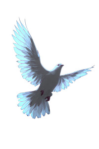 White Dove Flying V10 Vinyl Car Decal Sticker – Waterproof & UV-Resistant 