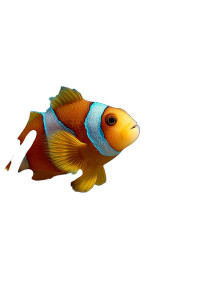 Bioluminescent Clownfish Vinyl Car Decal Sticker – Waterproof & UV-Resistant Bioluminescent Clownfish Vinyl Car Decal Sticker – Waterproof & UV-Resistant