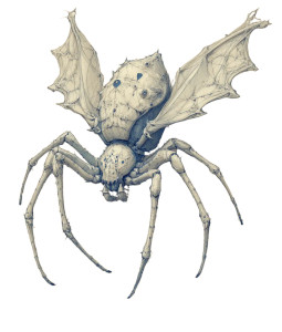 Venomous Spider Sketch Vinyl Car Decal Sticker – Waterproof & UV-Resistant 