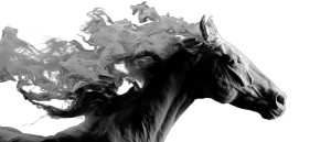 Abstract Horse Emotion Vinyl Car Decal Sticker – Waterproof & UV-Resistant Abstract Horse Emotion Vinyl Car Decal Sticker – Waterproof & UV-Resistant