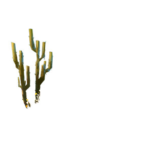 Desert Cactus Blooms Vinyl Car Decal Sticker – Waterproof & UV-Resistant Desert Cactus Blooms Vinyl Car Decal Sticker – Waterproof & UV-Resistant