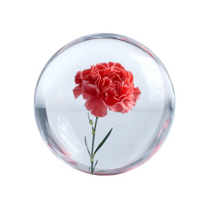 Glass Globe Flower Vinyl Car Decal Sticker – Waterproof & UV-Resistant Glass Globe Flower Vinyl Car Decal Sticker – Waterproof & UV-Resistant