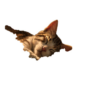 Sleeping Baby Cat Vinyl Car Decal Sticker – Waterproof & UV-Resistant 