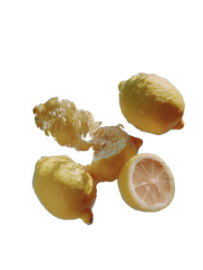 Floating Lemons V2 Vinyl Car Decal Sticker – Waterproof & UV-Resistant 