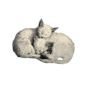 Cuddling Kittens Vinyl Car Decal Sticker – Waterproof & UV-Resistant 