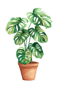 Potted Monstera Vinyl Car Decal Sticker – Waterproof & UV-Resistant 