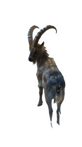 Majestic Capricorn Creature Vinyl Car Decal Sticker – Waterproof & UV-Resistant 