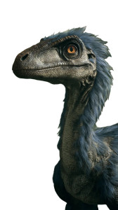 Feathered Velociraptor V6 Vinyl Car Decal Sticker – Waterproof & UV-Resistant Feathered Velociraptor V6 Vinyl Car Decal Sticker – Waterproof & UV-Resistant