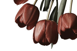 Tulips V2 Vinyl Car Decal Sticker – Waterproof & UV-Resistant Tulips V2 Vinyl Car Decal Sticker – Waterproof & UV-Resistant