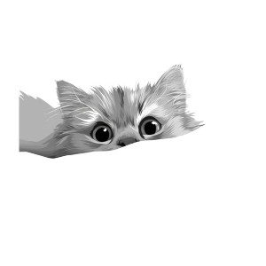 Cartoon Mainecoon Peeking Vinyl Car Decal Sticker – Waterproof & UV-Resistant 