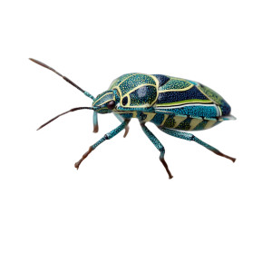 Colorful Insect Perched Vinyl Car Decal Sticker – Waterproof & UV-Resistant 