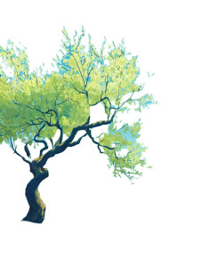 Olive Tree Spring Vinyl Car Decal Sticker – Waterproof & UV-Resistant 