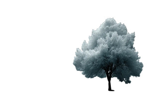 Futuristic Leafy Tree Vinyl Car Decal Sticker – Waterproof & UV-Resistant 