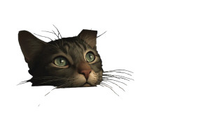 Cat V123 Vinyl Car Decal Sticker – Waterproof & UV-Resistant 