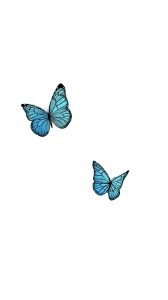Beach Butterflies Vinyl Car Decal Sticker – Waterproof & UV-Resistant 
