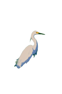 White Egret Marsh Vinyl Car Decal Sticker – Waterproof & UV-Resistant 
