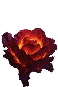 Glowing Enchanted Lettuce Vinyl Car Decal Sticker – Waterproof & UV-Resistant 