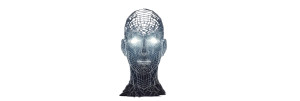 Wireframe Male Head Vinyl Car Decal Sticker – Waterproof & UV-Resistant 