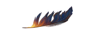 Phoenix Feather Vinyl Car Decal Sticker – Waterproof & UV-Resistant Phoenix Feather Vinyl Car Decal Sticker – Waterproof & UV-Resistant