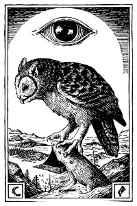 Medieval Mouse Owl Vinyl Car Decal Sticker – Waterproof & UV-Resistant 