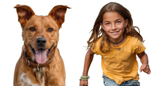 Copper And Lily Vinyl Car Decal Sticker – Waterproof & UV-Resistant 