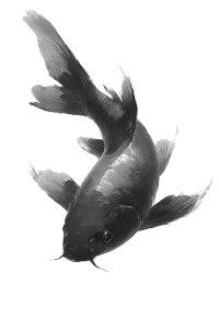 Zen Koi Painting V3 Vinyl Car Decal Sticker – Waterproof & UV-Resistant Zen Koi Painting V3 Vinyl Car Decal Sticker – Waterproof & UV-Resistant