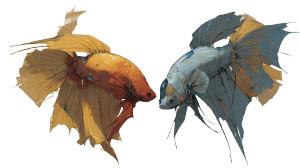 Betta Fish Duel Vinyl Car Decal Sticker – Waterproof & UV-Resistant 