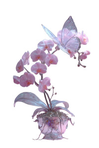 Mechanical Butterfly Orchid Vinyl Car Decal Sticker – Waterproof & UV-Resistant  Mechanical Butterfly Orchid Vinyl Car Decal Sticker – Waterproof & UV-Resistant