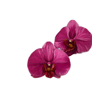 Orchid Tile Vinyl Car Decal Sticker – Waterproof & UV-Resistant 