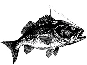 Minimalist Fish Illustration Vinyl Car Decal Sticker – Waterproof & UV-Resistant Minimalist Fish Illustration Vinyl Car Decal Sticker – Waterproof & UV-Resistant