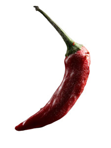 Spicy Pepper Vinyl Car Decal Sticker – Waterproof & UV-Resistant 
