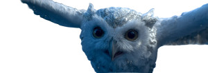 Epic Metal Owl Vinyl Car Decal Sticker – Waterproof & UV-Resistant 