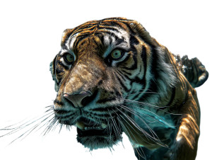 Underwater Tiger V2 Vinyl Car Decal Sticker – Waterproof & UV-Resistant 