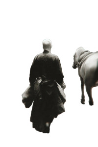 Silhouette With Horse Vinyl Car Decal Sticker – Waterproof & UV-Resistant  Silhouette With Horse Vinyl Car Decal Sticker – Waterproof & UV-Resistant