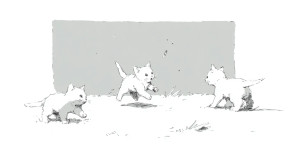 Cats Playing Sketch Vinyl Car Decal Sticker – Waterproof & UV-Resistant 