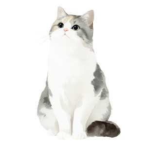 Reflective Pose Cat V3 Vinyl Car Decal Sticker – Waterproof & UV-Resistant Reflective Pose Cat V3 Vinyl Car Decal Sticker – Waterproof & UV-Resistant