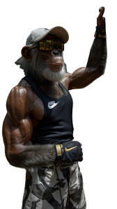 Chimpanzee In Nike Vinyl Car Decal Sticker – Waterproof & UV-Resistant 