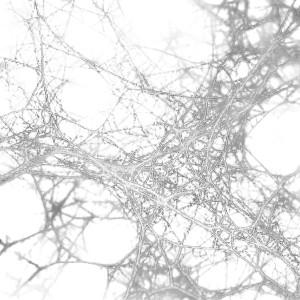 White Spider Web Vinyl Car Decal Sticker – Waterproof & UV-Resistant 