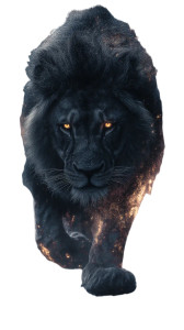 Raging Fire Lion Vinyl Car Decal Sticker – Waterproof & UV-Resistant 