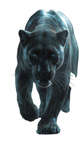 Majestic Black Panther V4 Vinyl Car Decal Sticker – Waterproof & UV-Resistant 